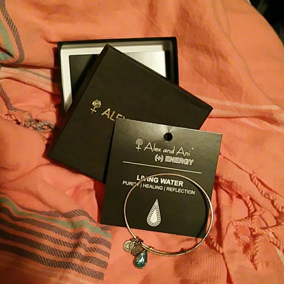 Alex and ani living water