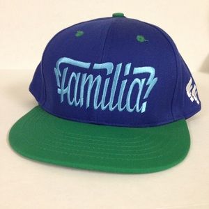 NWOT Foreign Family snapback