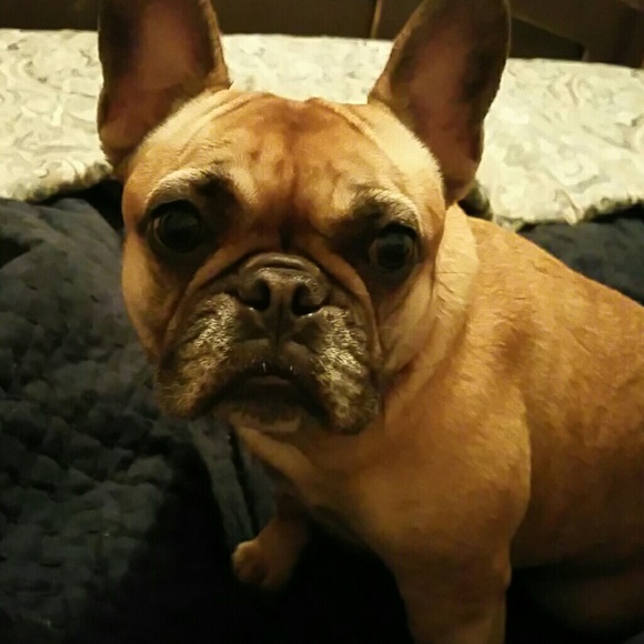 We're for sale - Picture 1 of 4