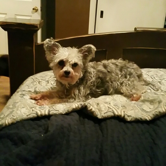 We're for sale - Picture 3 of 4