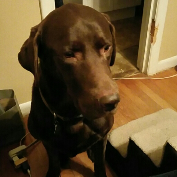 We're for sale - Picture 4 of 4