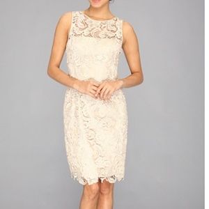 Adrianna Papell Lace Dress