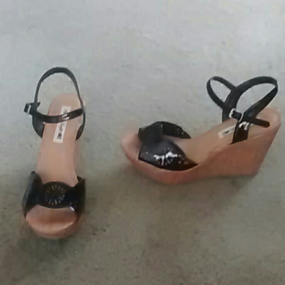 American eagle wedges