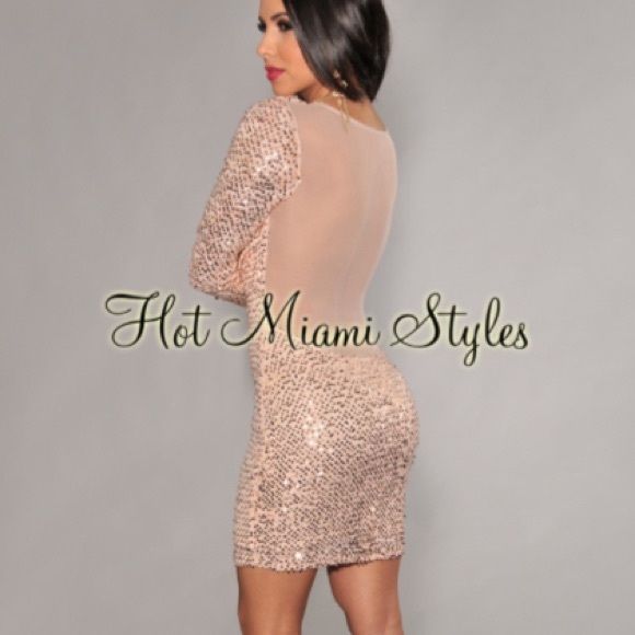 🌺Champagne Sequins Mesh Back Long Sleeves Dress🌺 - Picture 3 of 4