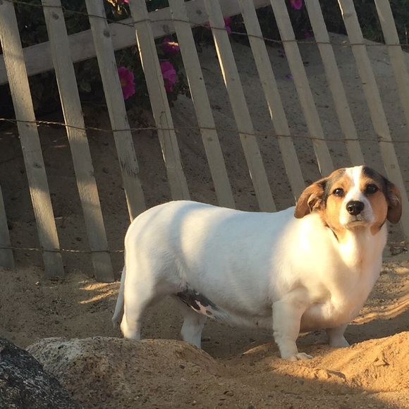 Welcome to my closet! - Picture 3 of 4