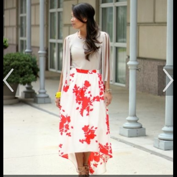 Brand new skirt - Picture 4 of 4