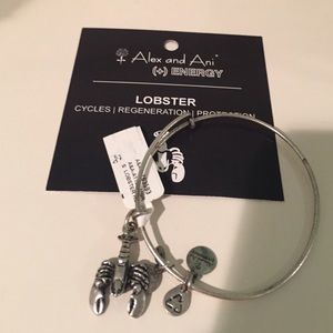 Alex and Ani Bracelet