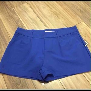 Cobalt Blue Shorts