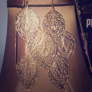 Silver plated earrings! Never worn.