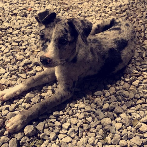 Meet Your Seller/Buyer❤️💙 - Picture 3 of 4