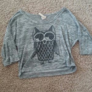 Grey Crop owl