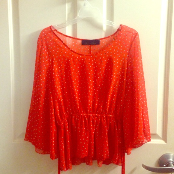 Francesca's sheer top!