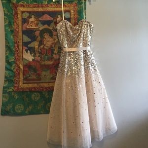 BCBG sequined gown (NEVER WORN)