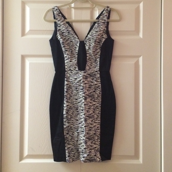 Zebra printed fitted dress