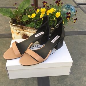Steve Madden shoe
