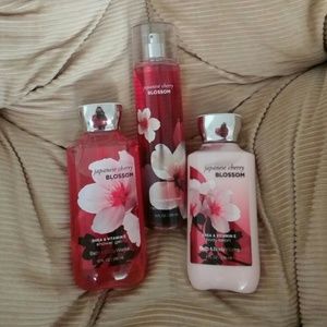 Japanese Cherry Blossom