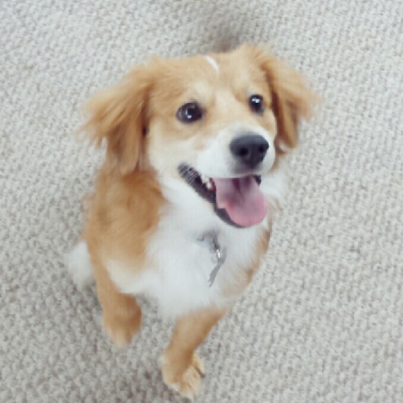 • Closet Information  |  Meet Your Seller • - Picture 6 of 7