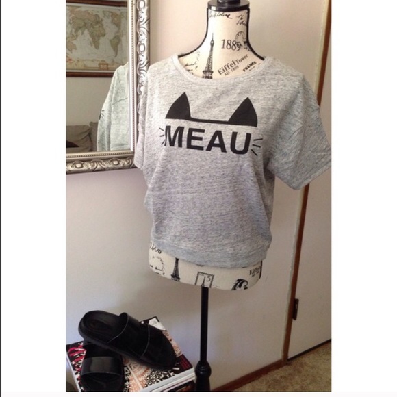 Zara Meau SweatshirtSOLD