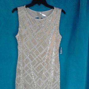 Silver & Gold Sequin Dress