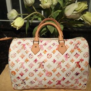Louis Vuitton Handbag( Sharing )