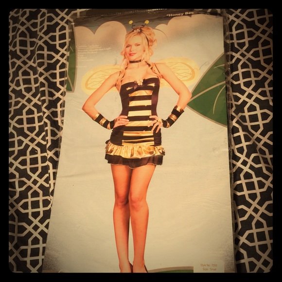 Adult bumblebee costume, no missing pieces!