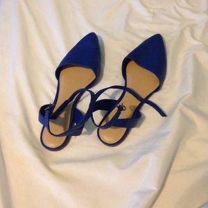 Pointed Toe Blue Flats