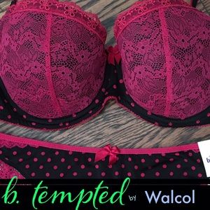 🍒🧨B.tempte'd by WALCOL