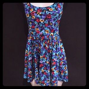 American Apparel Skater Dress