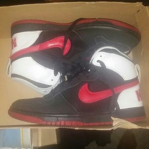 Kids High Top Dunks