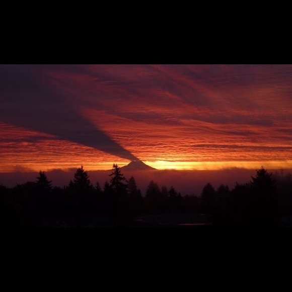 ❌❌reserved for someone 🌼❌❌