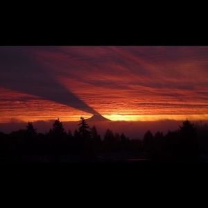 ❌❌reserved for someone 🌼❌❌