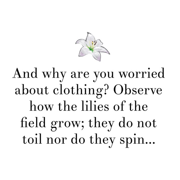 Welcome to Field Lilies Boutique! - Picture 2 of 6