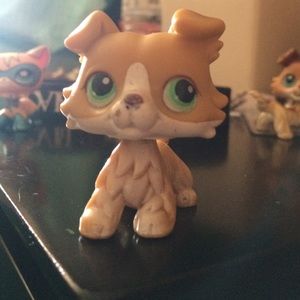 littlest pet shop collie OFFERS