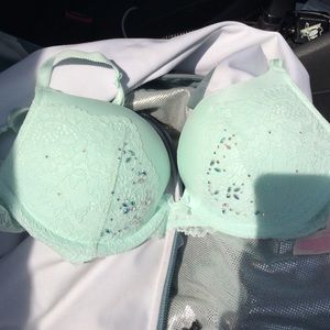Looking for this vs dream Angels bra 32b