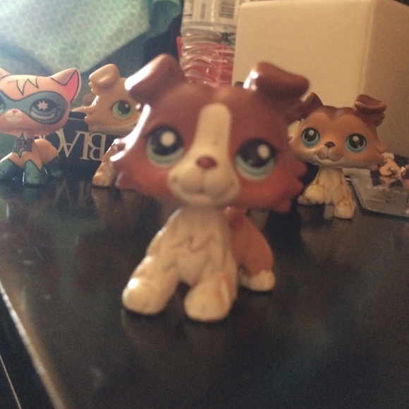 littlest pet shop collie OFFER