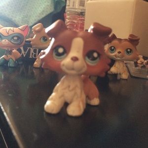 littlest pet shop collie OFFER