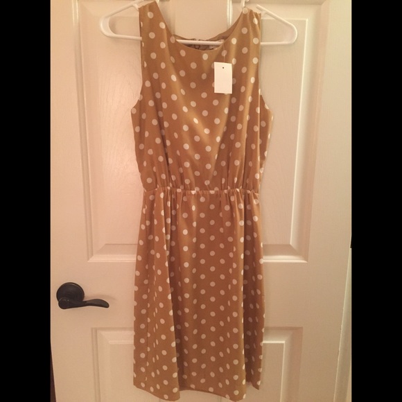 JCrew 00 Dress Brand New