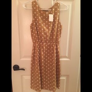 JCrew 00 Dress Brand New