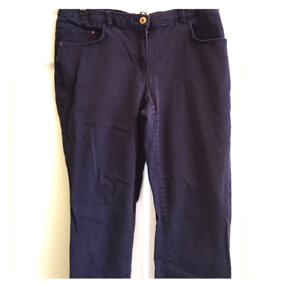 Navy Blue Skinny Jeggings