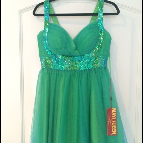Prom or Homecoming Dress