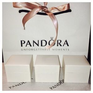 💯 Pandora Charm Boxes and shopping bag