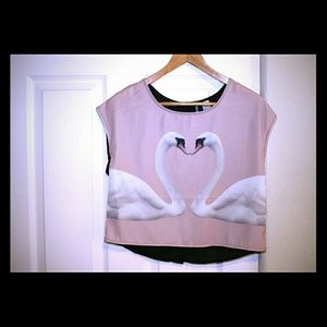 H&M swan crop top
