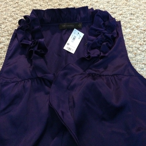 NWT purple silky top