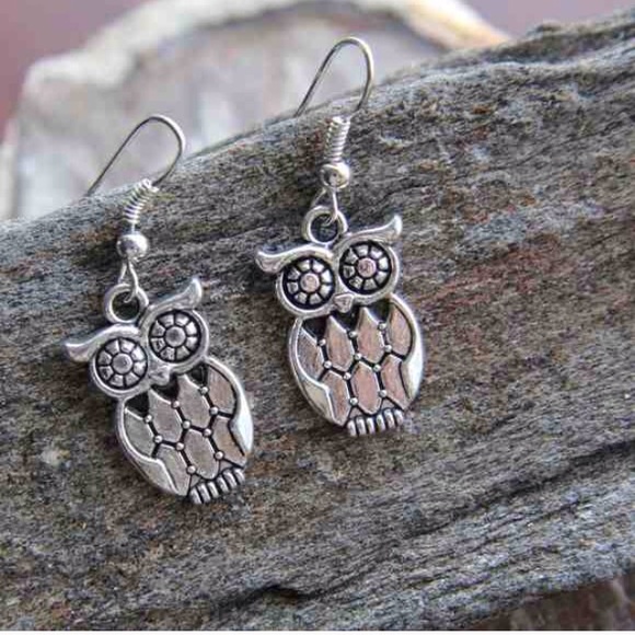 Jewelry - NWT Silver Owl Earrings