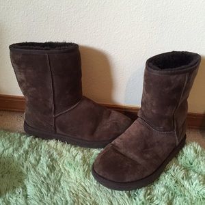 Classic Short Chocolate Ugg Boot