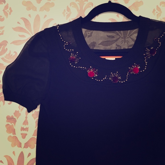 NWOT Cynthia Steffe Embellished Sheer Sweater