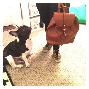 Bundle Package! Camel bucket bag with wallet