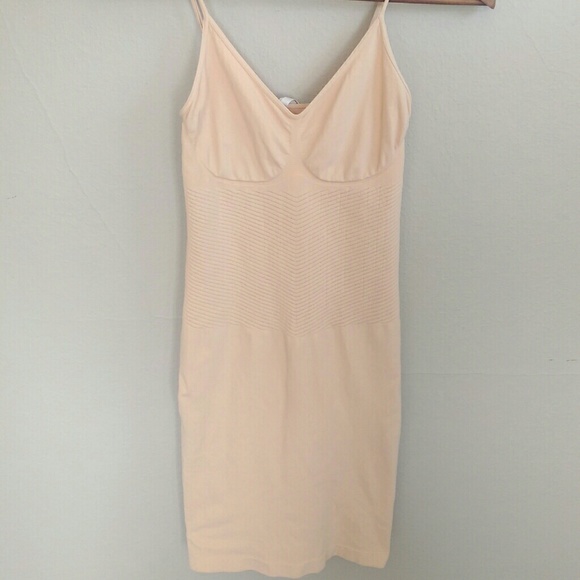 Aritzia nude bodycon slip