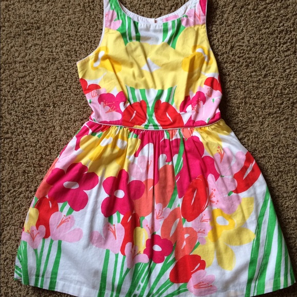 Lilly Pulitzer Aleesa Floral Dress