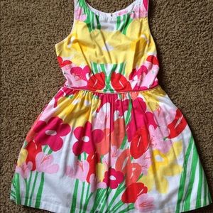 Lilly Pulitzer Aleesa Floral Dress